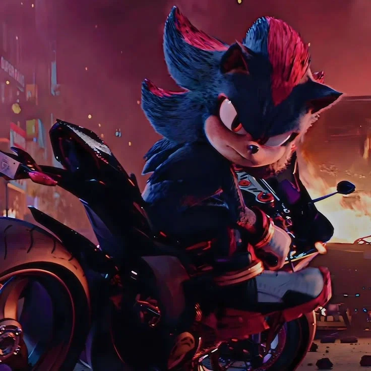 Shadow the hedgehog // Sonic 3