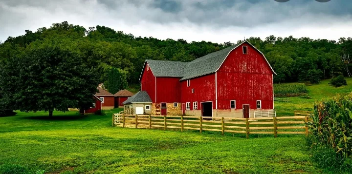 Farm life