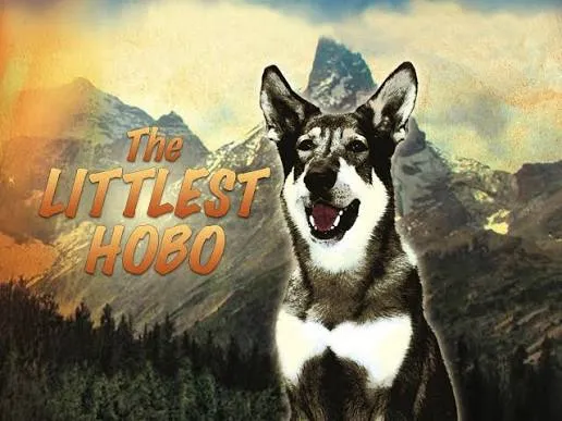 The Littlest Hobo