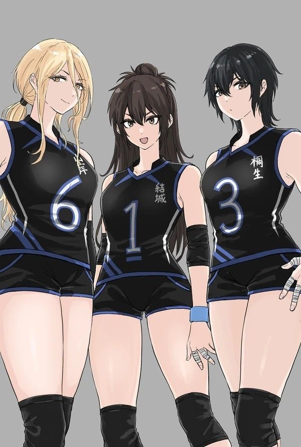 The Volleyball Trio~