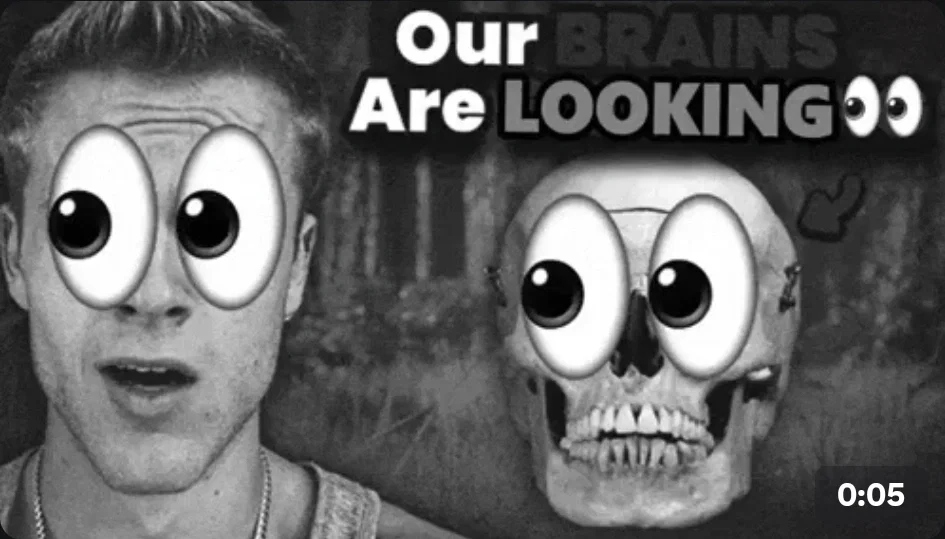 WHY CANT PEOPLE JUST BE NORMAL?!