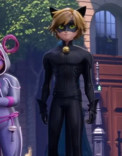 Cat noir 🤑🤑