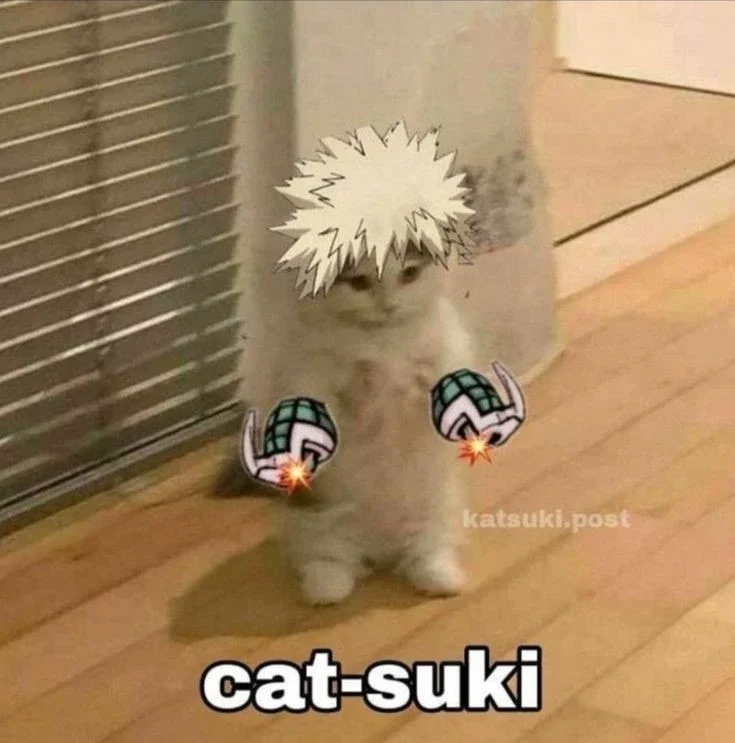 Katsuki Bakugo