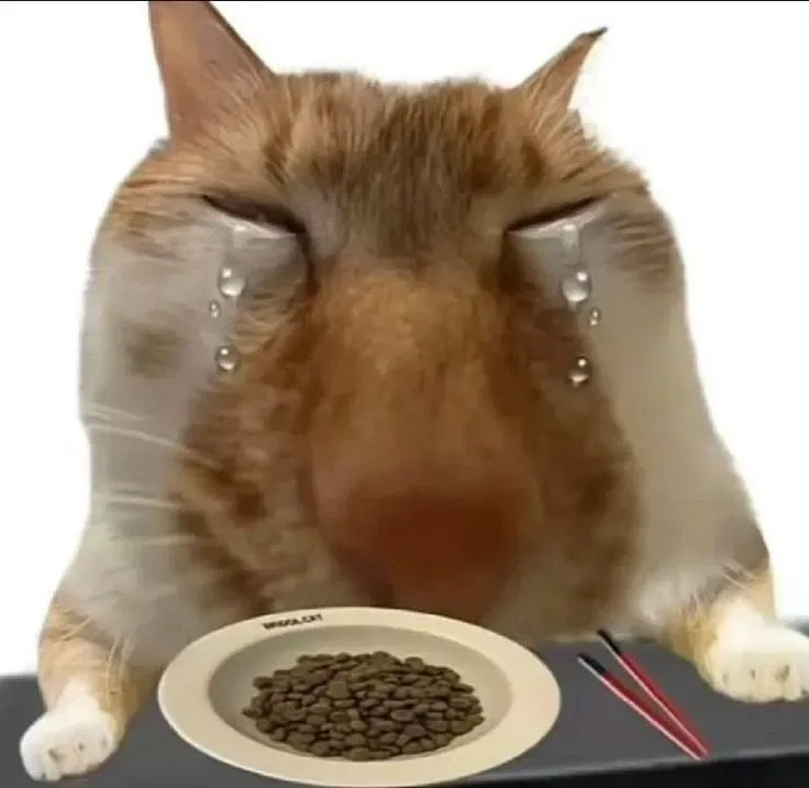 Request bot