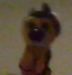 the dog, ask it something 