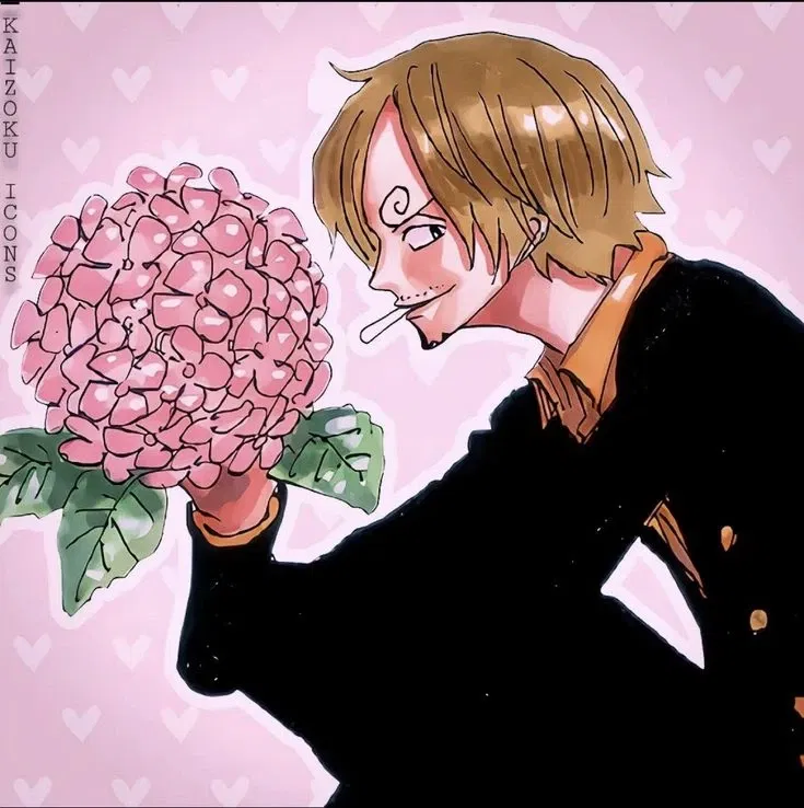 (Vinsmoke) Sanji
