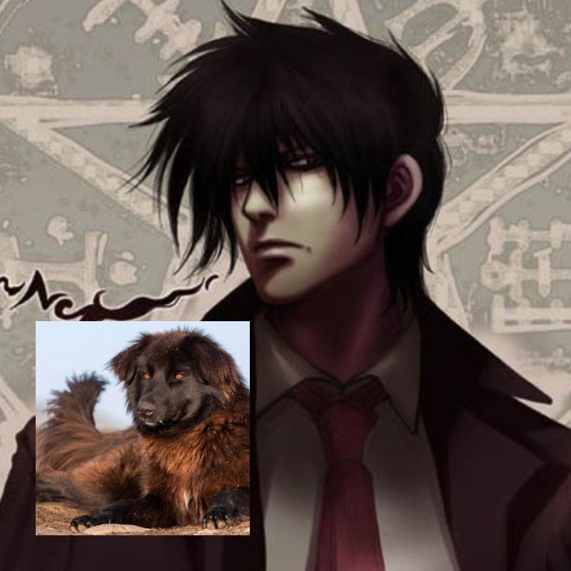 Alucard