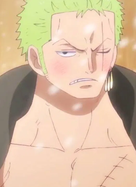 Roronoa Zoro 