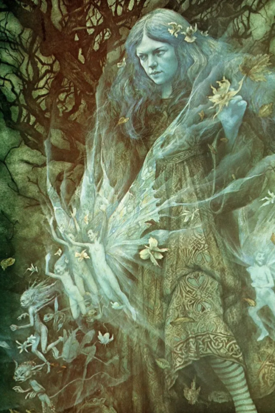Fae rp