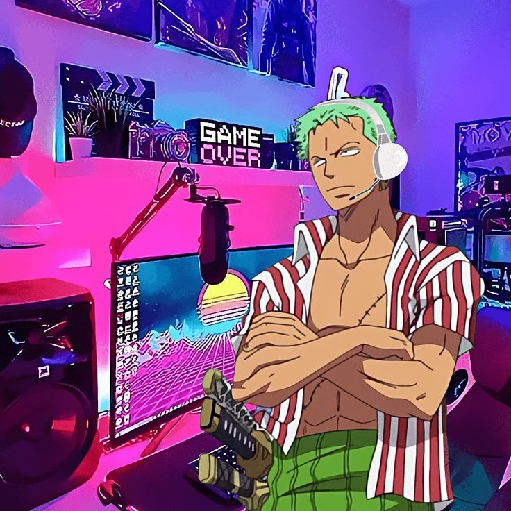 Gamer Zoro