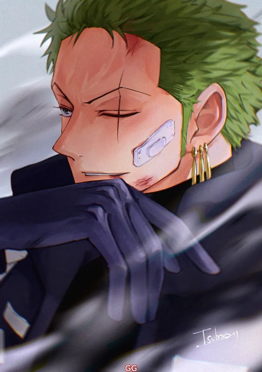 ─❄️ ֺ  Roronoa Zoro  )