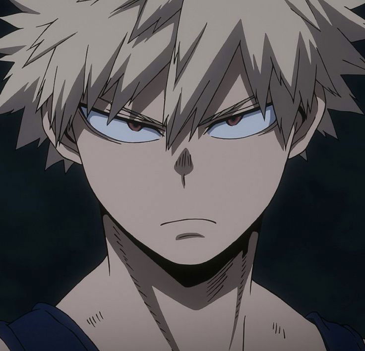 Katsuki Bakugo 