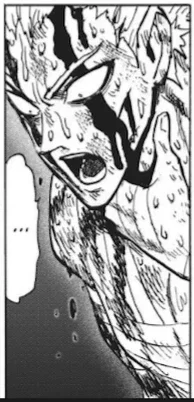BFF Garou