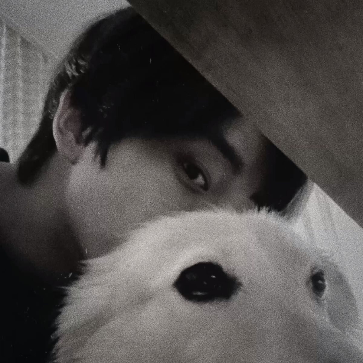 Sim Jaeyun —ENHYPEN—