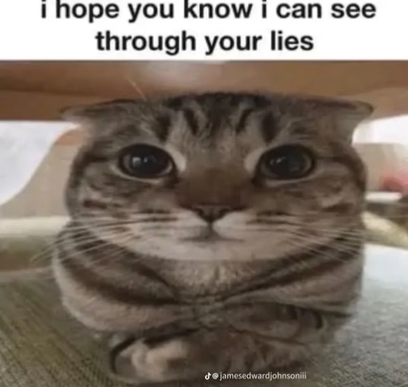 Whiskers 
