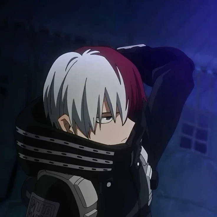 Shoto Todoroki