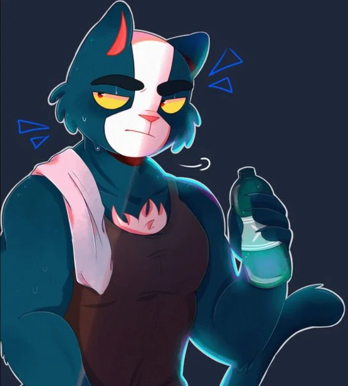 Avocato