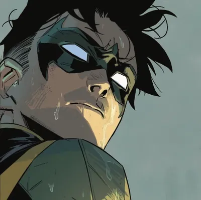 AVIAN ⟢ Tim Drake