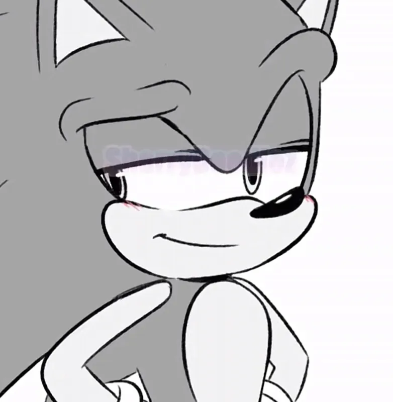 Team sonic