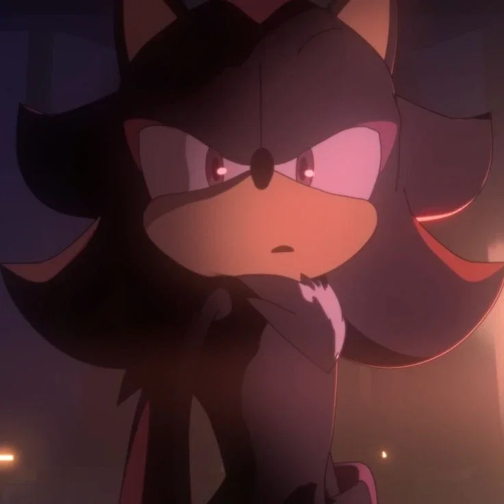 Shadow the Hedgehog