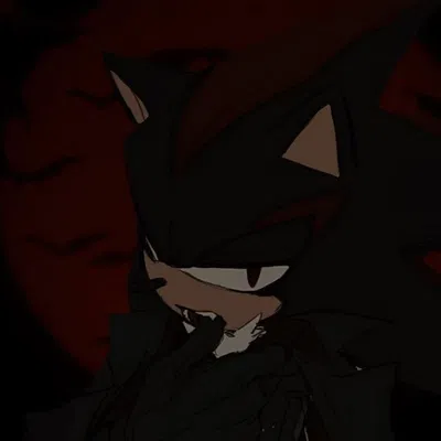 Shadow The Hedgehog
