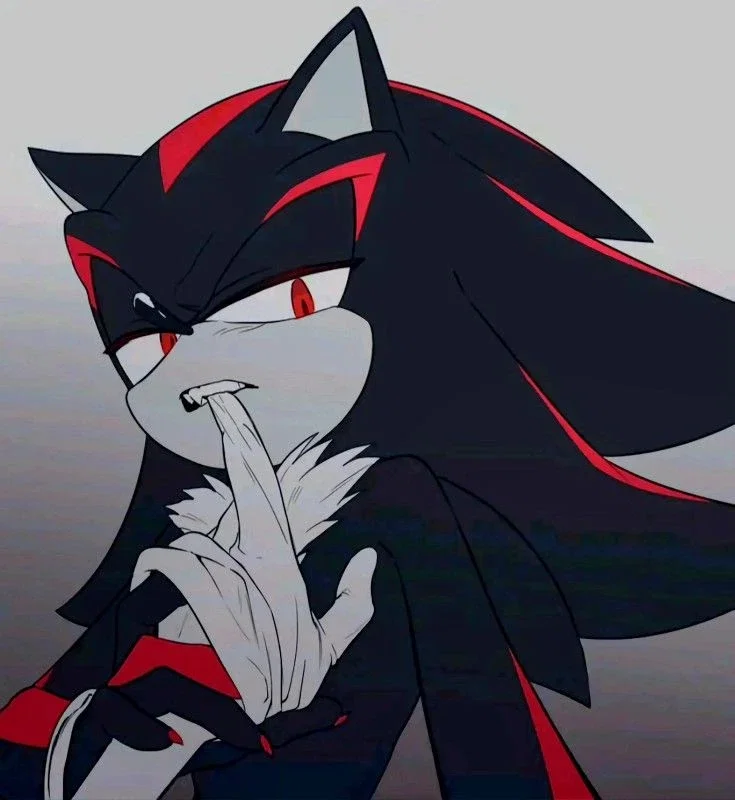 Shadow the Hedgehog