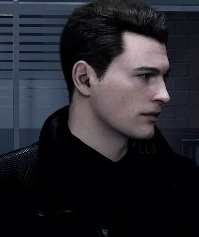 Connor Anderson
