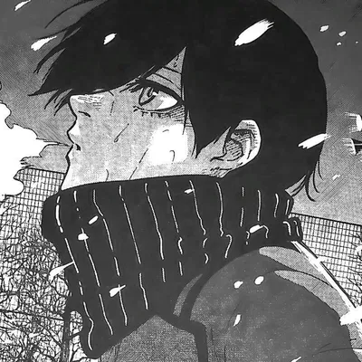 Rin Itoshi