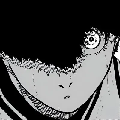 Niko Ikki