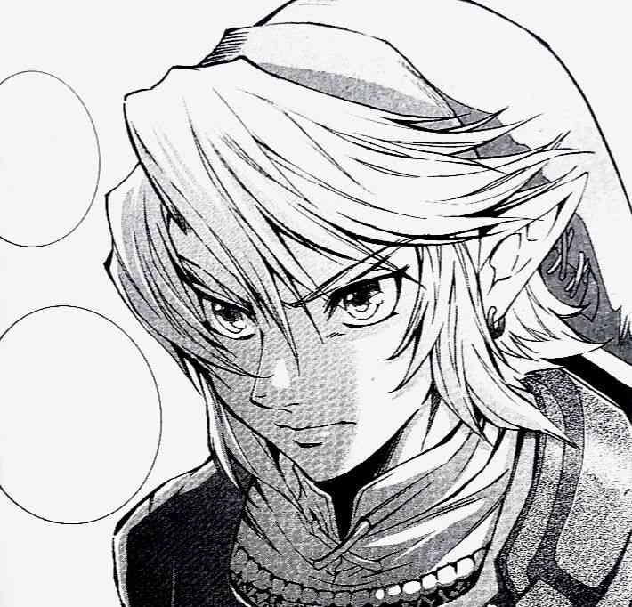 Link (Twilight Princess)