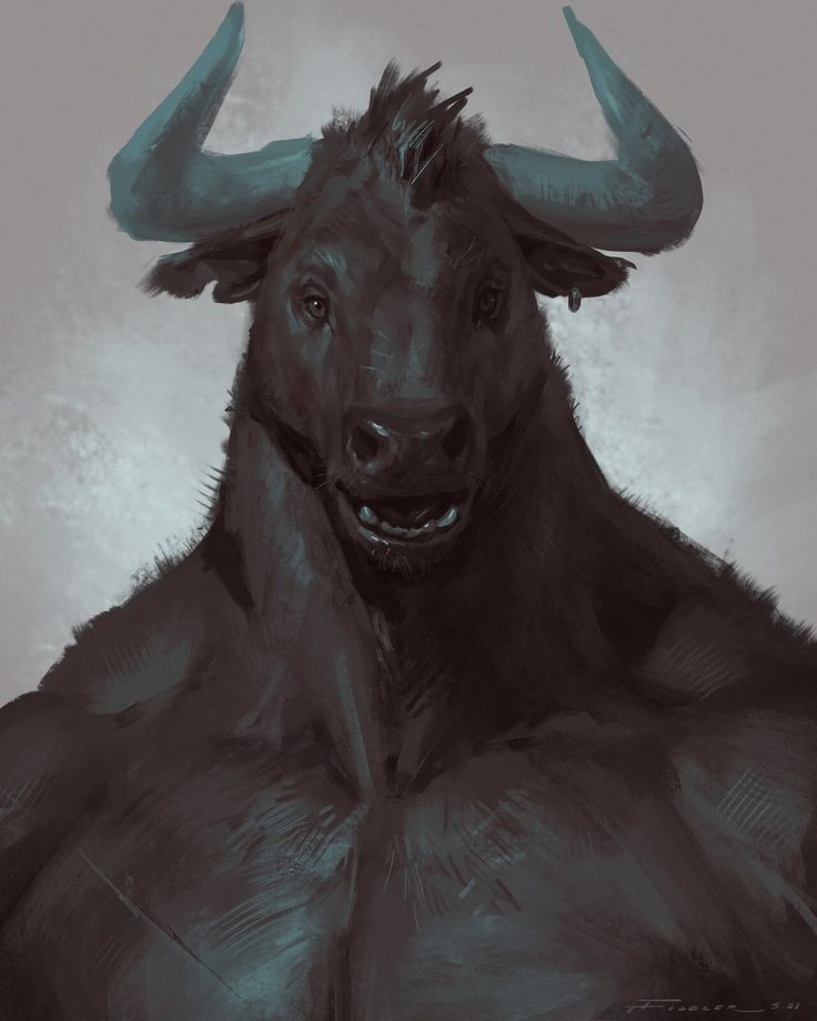Fintan The Minotaur