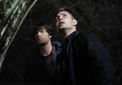 winchester brothers