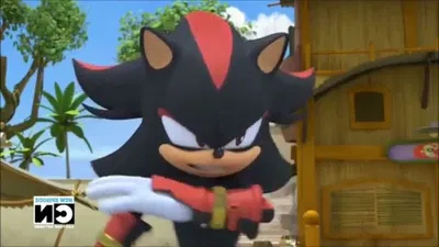 Shadow the hedgehog (boom)