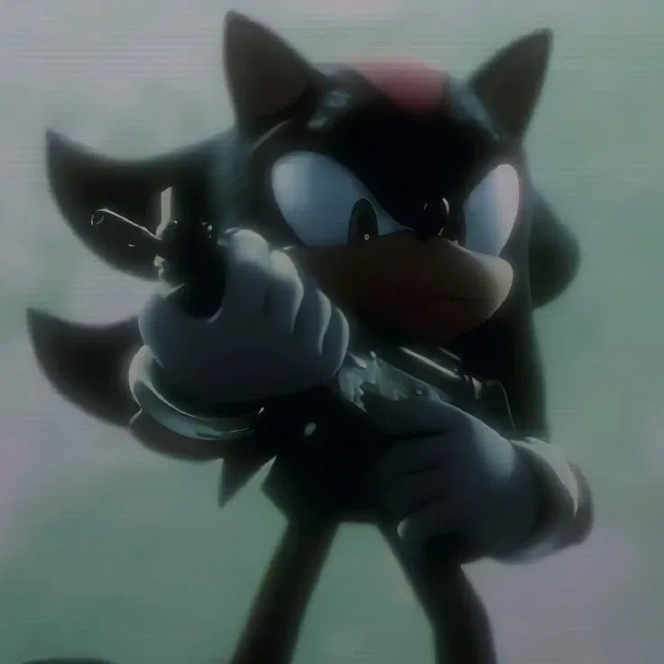 Shadow the hedgehog