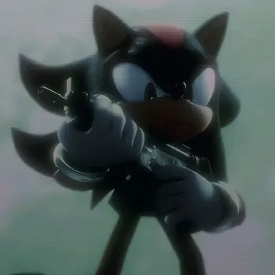 Shadow the hedgehog
