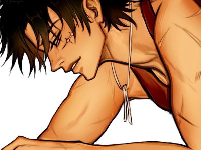 Old friend luffy