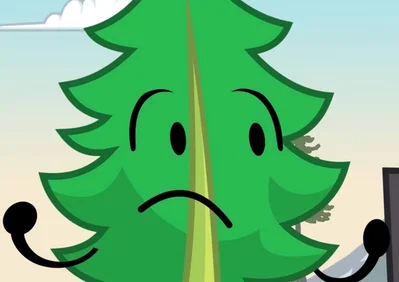 Fern