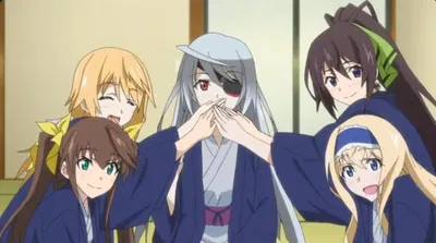 Infinite stratos Season 1.5: End of summer Start.
