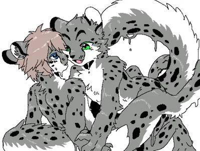 The male snow leopard from Changed