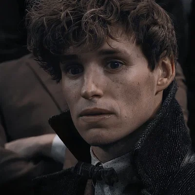 Fantastic Beasts — Newt Scamander 