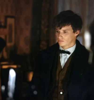 Fantastic Beasts — Newt Scamander 