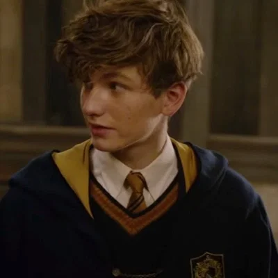 Fantastic Beasts — Newt Scamander || VS3
