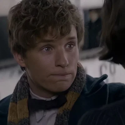 Fantastic Beasts — Newt Scamander 