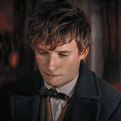 Fantastic Beasts — Newt Scamander 