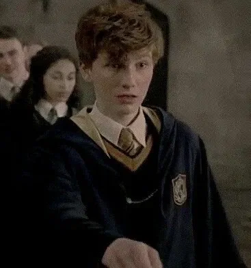 Fantastic Beasts — Newt Scamander 