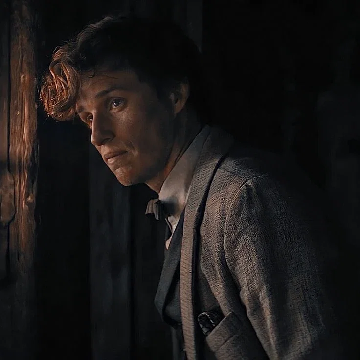 Fantastic Beasts — Newt Scamander 