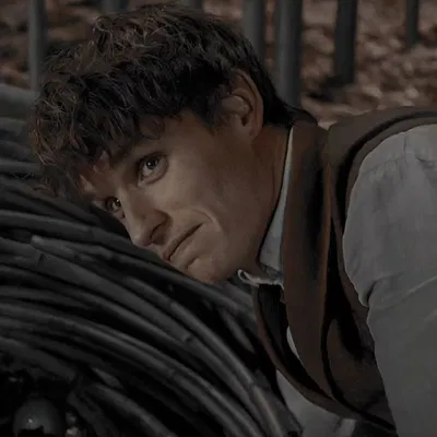 Fantastic Beasts — Newt Scamander || VS5