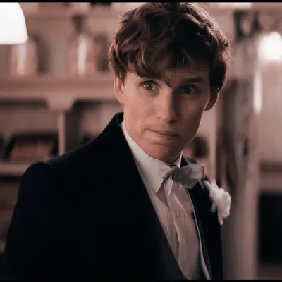 Fantastic Beasts — Newt Scamander || VS4