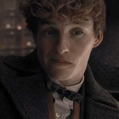 Fantastic Beasts — Newt Scamander 