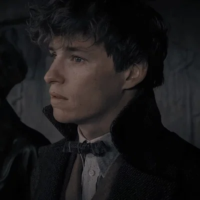 Fantastic Beasts — Newt Scamander || V2